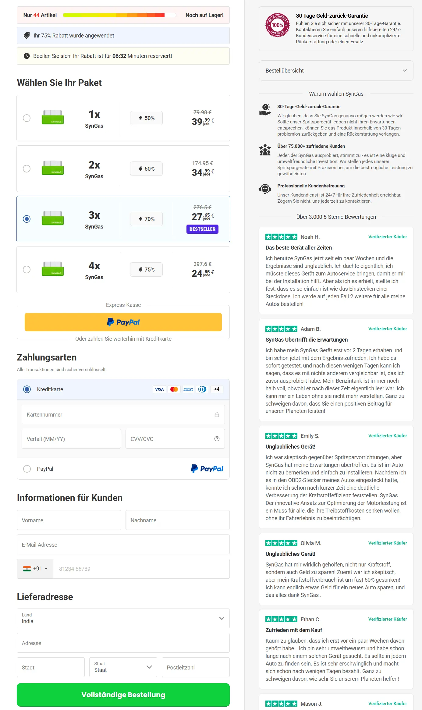 sichere Checkout-Seite für Syngas
